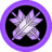 Purple Ya 1 Icon